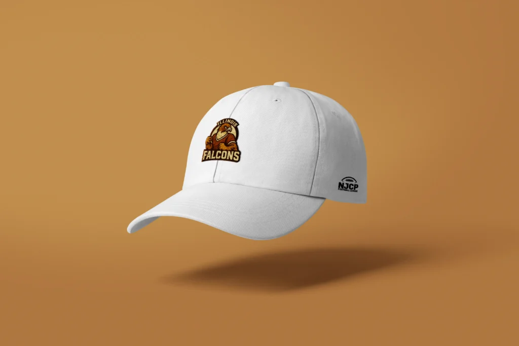 Illinois Falcons – Hat
