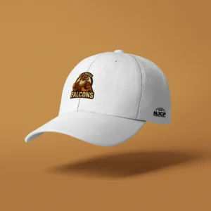 Illinois Falcons - Hat